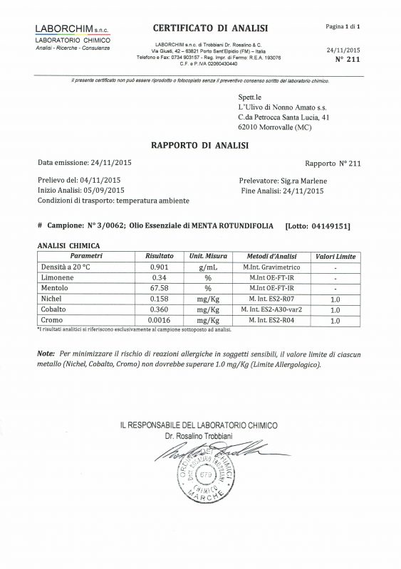 L'Ulivo di Nonno Amato
